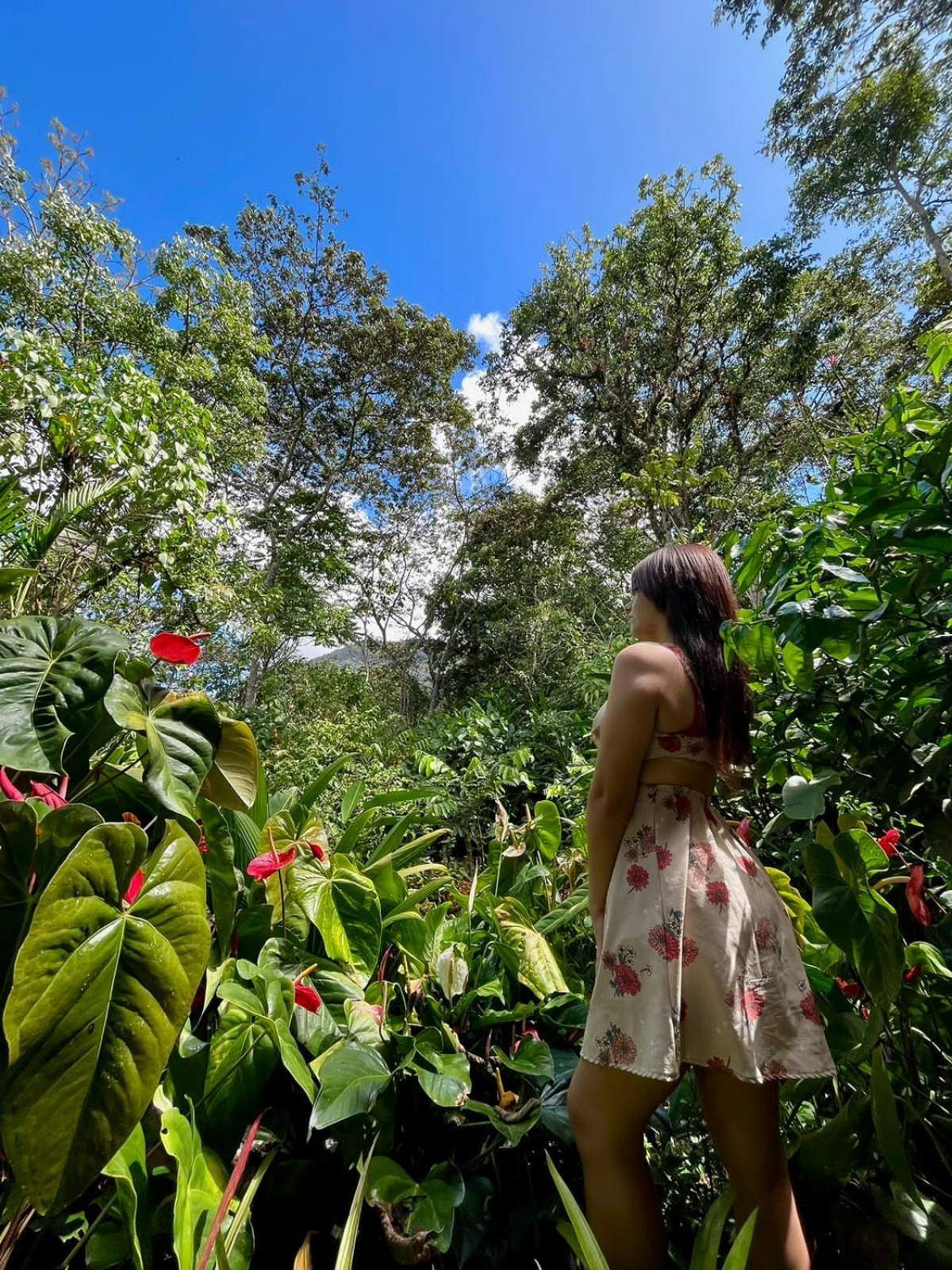 Refugio De Orquideas Villa Oxapampa Eksteriør billede