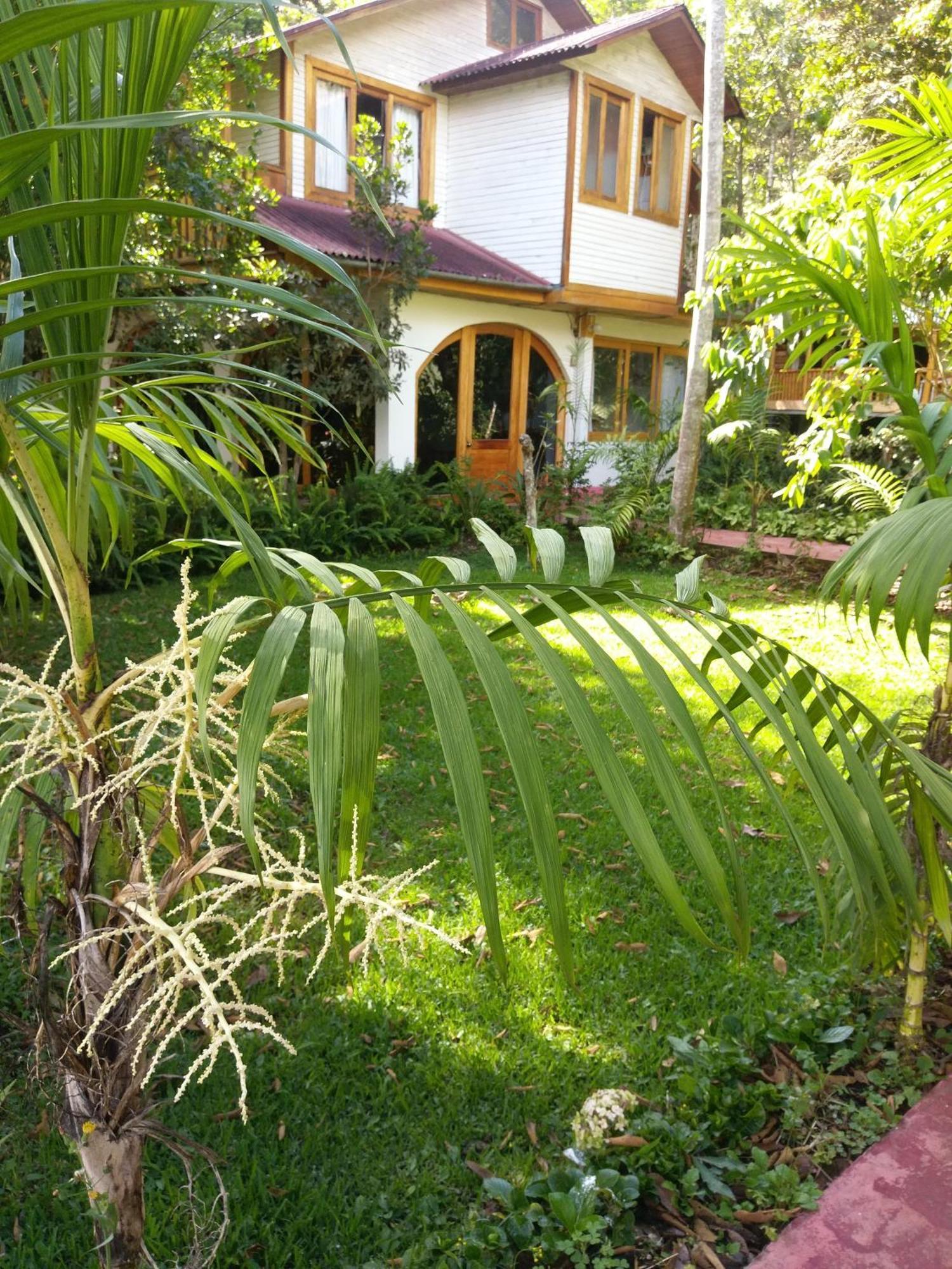 Refugio De Orquideas Villa Oxapampa Eksteriør billede