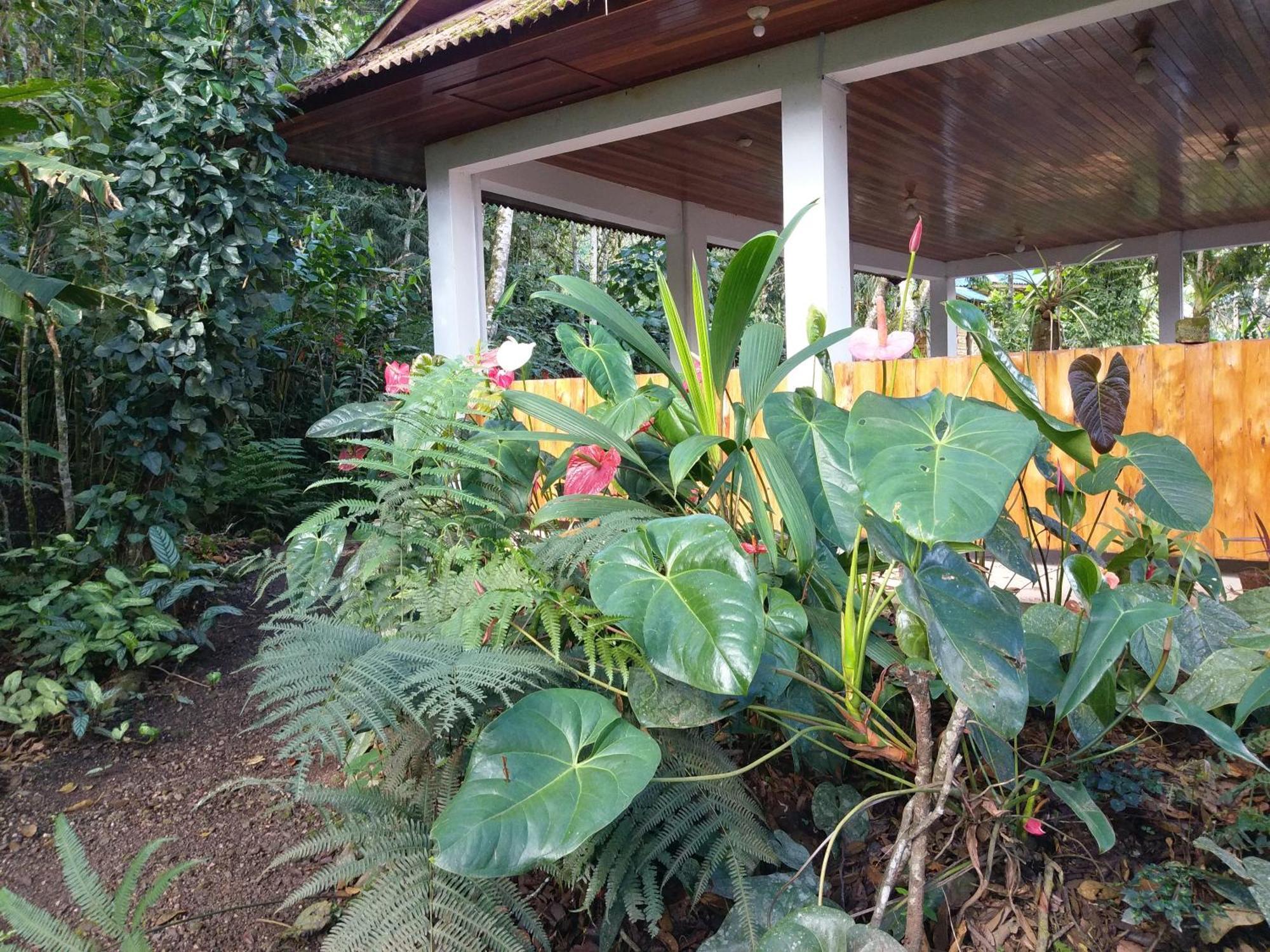 Refugio De Orquideas Villa Oxapampa Eksteriør billede